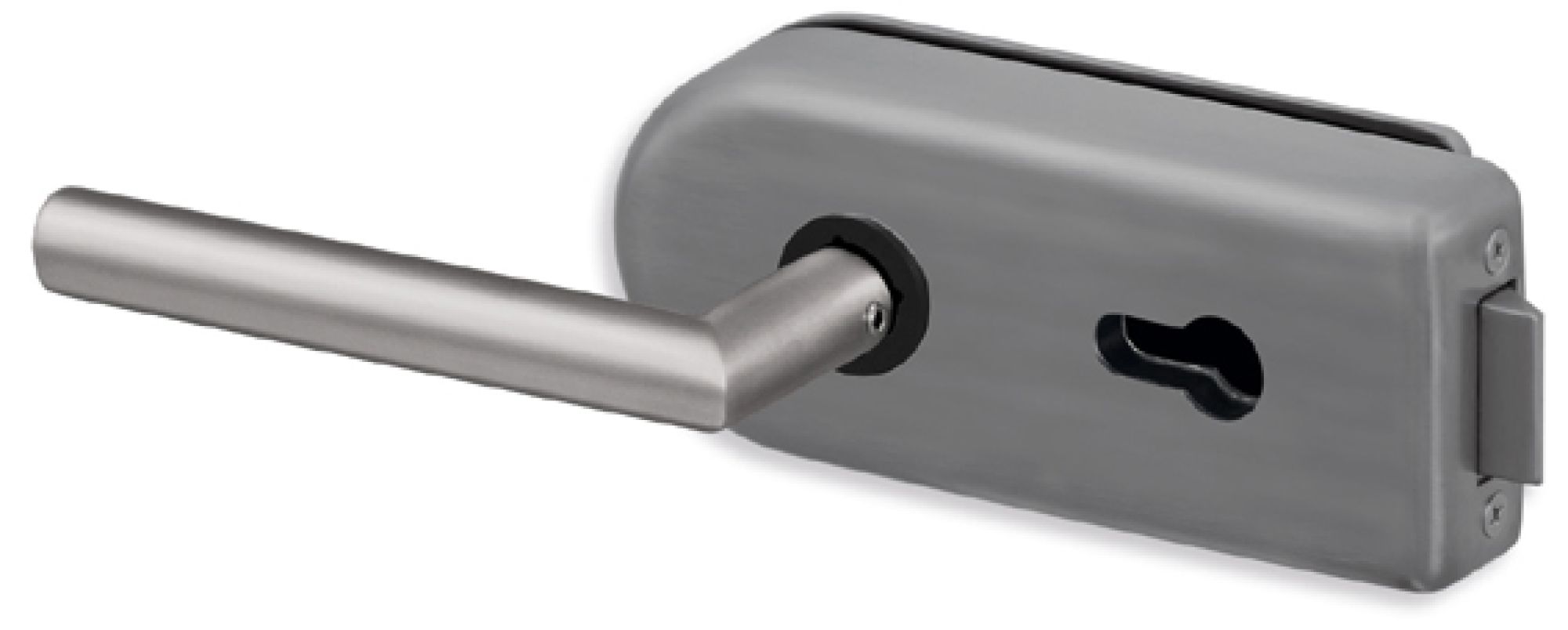 Glastürschloss Modell classic in Edelstahl